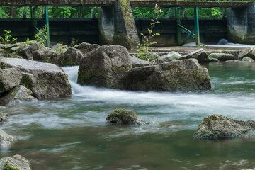 water flowing int the forrest