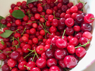 red cherries in a bowl