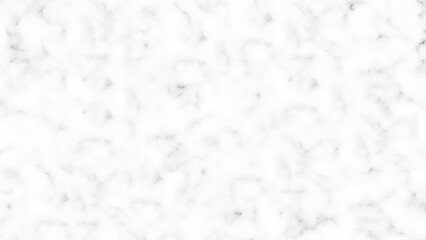 Marble granite white panorama background wall surface black pattern.