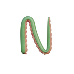 Tentacles Funny 3D Alphabet or PNG Letters