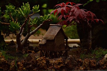 Small house between plants. © kacperrak