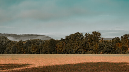 Sunrise over the field and forest of French countryside