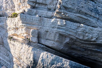 Fototapeta premium cliffside detail