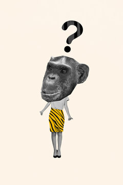 Vertical creative composite photo 3d sketch collage of weird headless woman ape head asking question isolated white color background