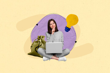 Poster image collage of minded clever smart lady sitting working online netbook device earning...