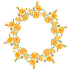 Obraz premium Frame of orange calendula officinalis. Watercolor hand drawn illustration. Botanical painting for labels, eco goods, textiles, natural herbal medicine, healthy tea, cosmetics and homeopatic remedies.