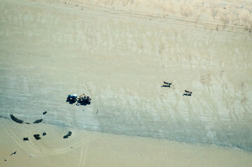 vue aérienne de chevaux sur la plage près de Granville en France