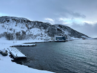 snowy nature and northern sea in tromso, norway