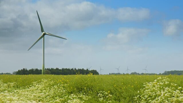 Wind Turbine on a field with wild flowers and many more Wind Turbines in the background