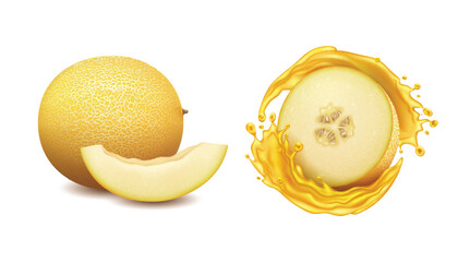 Realistic Detailed 3d Fresh Whole Melon Fruit and Half with Splash Isolated on a White Background. Vector illustration
