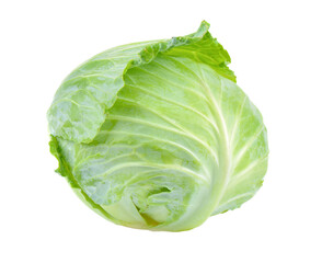 Fototapeta premium cabbage on transparent png