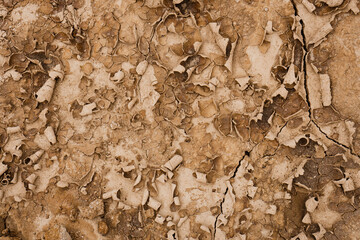 Brown rusty grunge background. Abstract texture of dry clay ground with cracks on earth soil