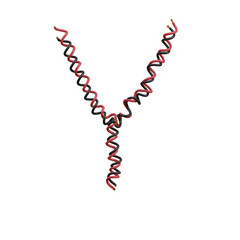 Twisted Electric Cable 3D Alphabet or PNG Letters