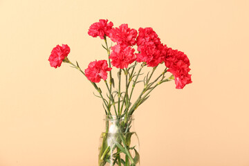 Vase with carnations on beige background
