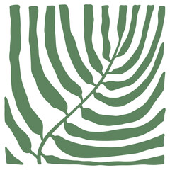 Decorative palm leaf tile. Hand-drawn exotic plant isolated on white background. Green tropical Herb summer sign. Vector jungle illustration for interior, gardening, holiday. Eco fern botanical poster © Olga