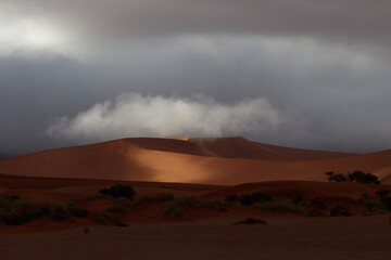 dune special like vulcano