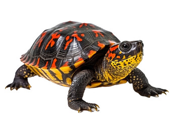 Obraz premium Spotted turtle, generative artificial intelligence