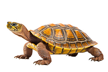 Spy turtle, generative artificial intelligence