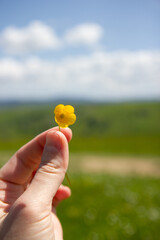 flower in hand