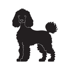 Poodle silhouette character with vector illustration