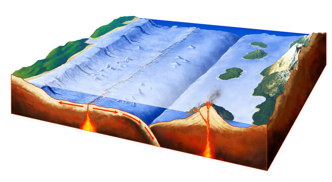 illustration 3D of oceanic floor and tectonic plates