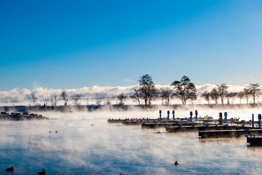 Early morning fog covering trees and a marina in central Ontario, Canada on Lake Simcoe.