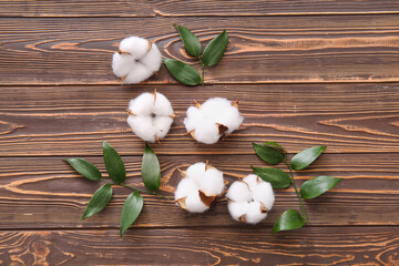 Cotton flowers and plant twigs on brown wooden background