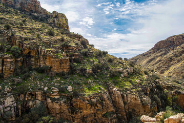 Fototapeta na wymiar Rocky mountain ridge in the Sonora Desert in summer.