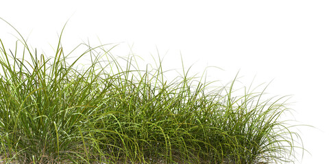 Cutout foreground greenery grass fields meadow 3d rendering png file