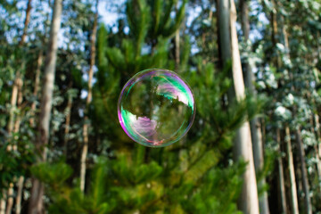 Bubble against trees