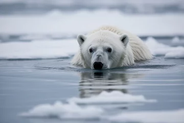 Fotobehang A captivating sight of a polar bear gracefully swimming in the icy waters, showcasing its adaptability and strength in its natural habitat. Ai generated © dragomirescu
