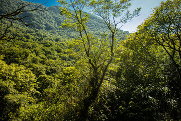 Paisagem verde entre as cidades de Morretes e Curitiba no Paraná