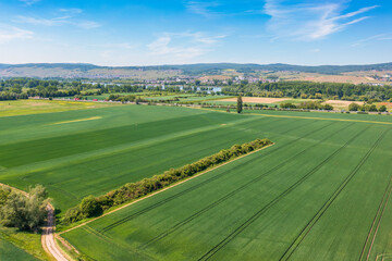 Fototapeta na wymiar Aerial view of grain fields in Rheinhessen near Ingelheim am Rhein/Germany