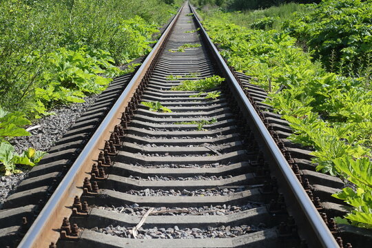 Rail track with overgrown grass verges