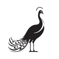 Peacock silhouette character with vector illustration