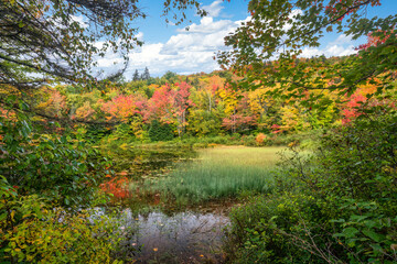 Hidden pond with beautiful fall leaves in autumn on a Maine scenic drive near Rangeley Lake