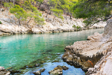 Beautiful wild beach with turquoise water, sea pines and rocky cliffs in Calanques National Park, Cassis. Popular nature attraction in Southern France.