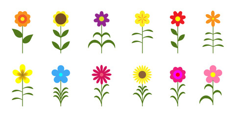 Set Of Colorful Flower Illustrations