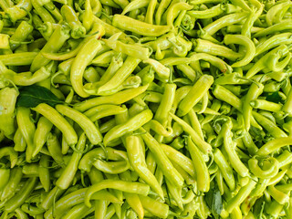 chili, pepper, chili pepper, plant, yellow, capsicum, vegetable, peppers, chilli, hot, yellow chili pepper, green chili pepper plant, green, africa, algeria, agriculture, closeup, organic, harvest