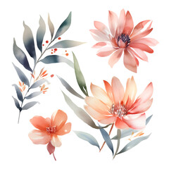 Watercolor flowers. Handmade. Illustration. Isolated on a white background.