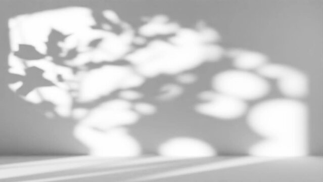 Tree Shadow Overlay Video - Endless Loop - 4k UHD Resolution - Leaf Tree Shadow - Animated Gobo