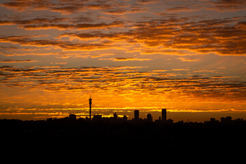Naklejka premium Johannesburg Sunrise