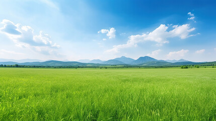 a beautiful grass feild surrounded by mountain.