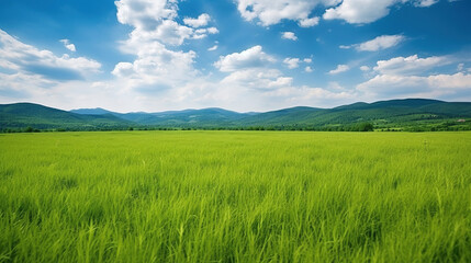 Fototapeta premium a beautiful grass feild surrounded by mountain.