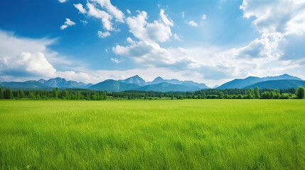 Obraz premium a beautiful grass feild surrounded by mountain.