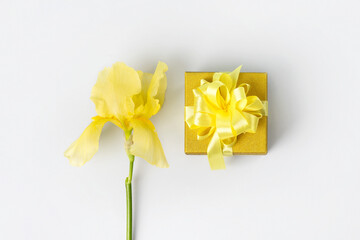 Yellow gift box with a satin ribbon bow and iris flowers. Greeting card for mother's day, Valentine's Day, birthday.