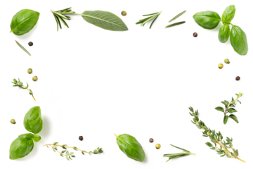 frame / border made of loosely spread mediterranean herbs isolated over a transparent background, basil, thyme, oregano, rosemary sage and green and black pepper, cut-out herbs and food  element, PNG