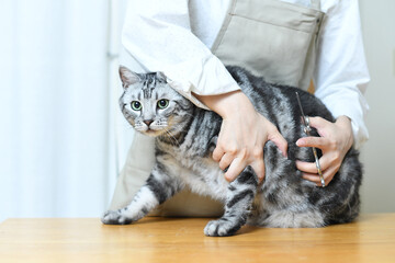 猫の毛並みをハサミで整えるトリマーの女性