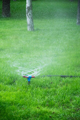 Automatic lawn sprinkler.Watering green grass.