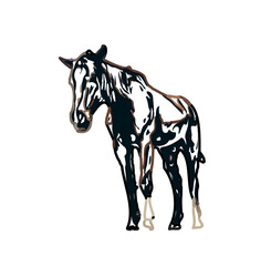 Color sketch of a horse with transparent background